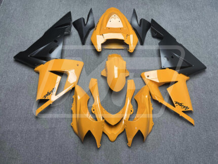 Kawasaki ZX10R 2004-2005 Pearl Orange Black ABS Fairings | Monster Fairings