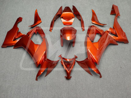 Kawasaki ZX10R 2008-2010 Gloss Burnt Orange ABS Fairings | Monster Fairings