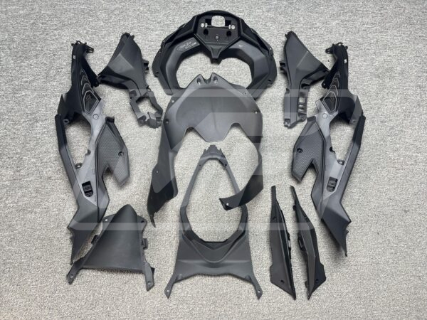 Kawasaki ZX4RR 2020-2024 Gloss Carbon Fiber Gold Roses ABS Fairings | Monster Fairings - Image 6