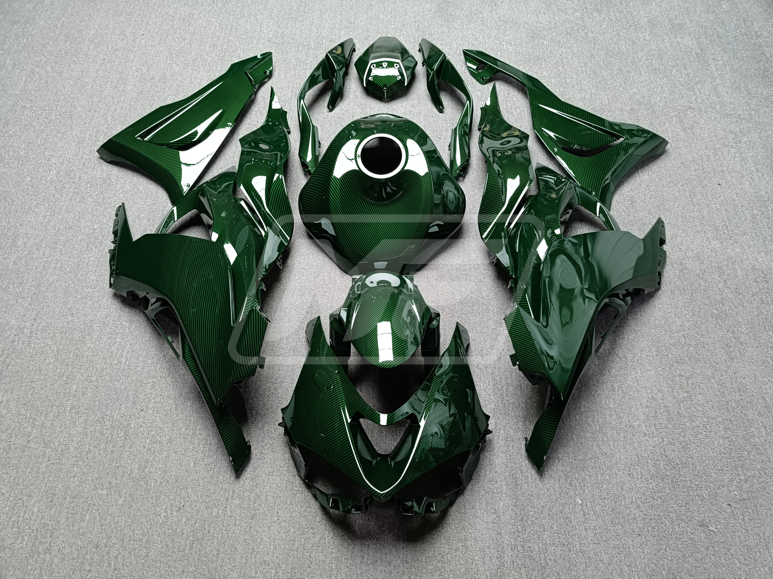 カーリン・ジェイコブス エキシビジョンポスター Kawasaki ZX6R 2024-2025 Gloss Green Carbon Fiber ABS
