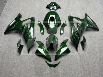 BMW S1000RR 2023-2024 Gloss Green Carbon Fiber Style ABS Fairings | Monster Fairings