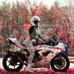 White Pink Cherry Blossom ABS fairings for Kawasaki ZX6R 2013 - 2018 - premium OEM fit kit by Monster Fairings
