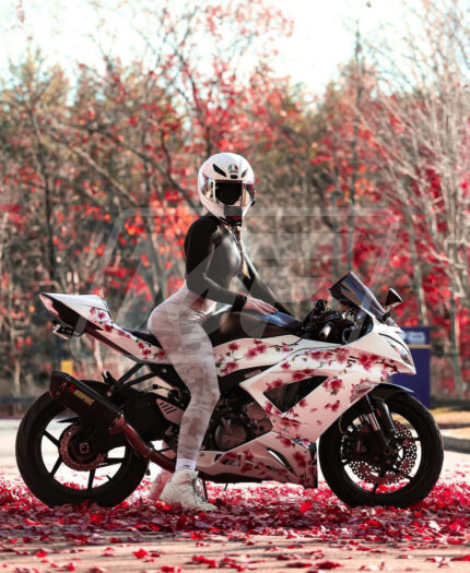 プリシラ∗*゜ ZX-6R 13-18 Fairings - Monster Fairings