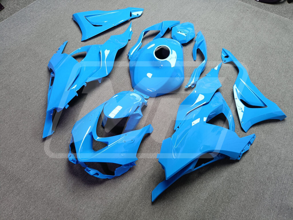 カーリン・ジェイコブス エキシビジョンポスター Kawasaki ZX6R 2024-2025 Gloss Green Carbon Fiber ABS