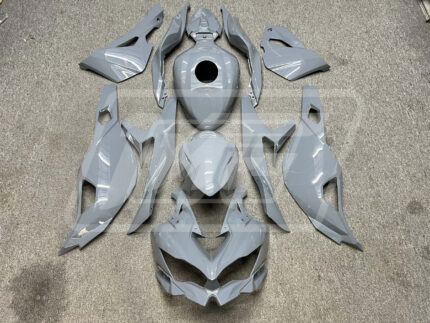 Kawasaki ZX-4RR 2020-2025 Gloss Nardo Gray ABS Fairings | Monster Fairings
