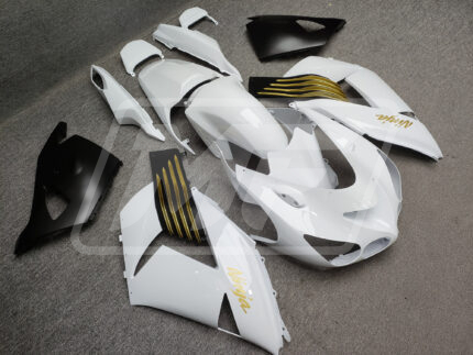 プリンプアップカード　クールバイキング Kawasaki ZX6R 2019-2023 Aqua ABS Fairings | Monster Fairings