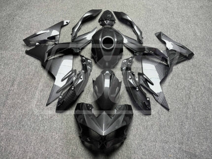 Kawasaki EX500 24 Carbon Fiber Style