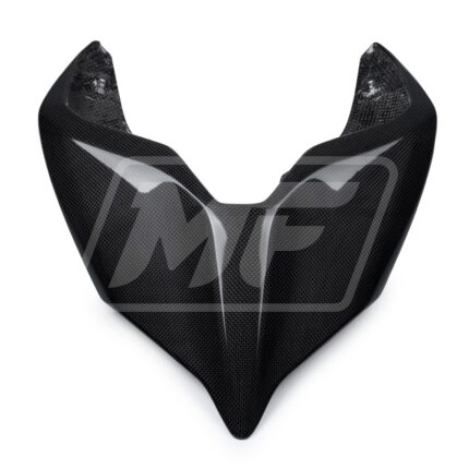 Ducati Panigal V4 2022-2024 Rear Tail Fairings Carbon Fiber